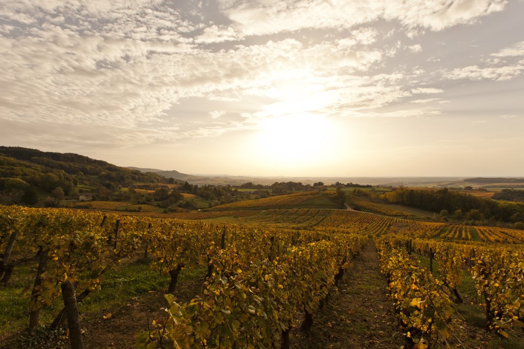 Vue aérienne de Mauffans dans le Jura - Bed &amp; Wine location gîte