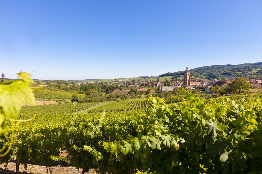 Arbois Jura oenotourisme - Capitale vins Jura, location gîte Mauffans vignobles Arbois Pasteur
